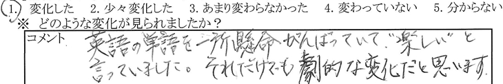 アンケート