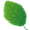 観葉植物