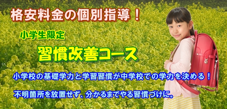 小学生用格安個別指導